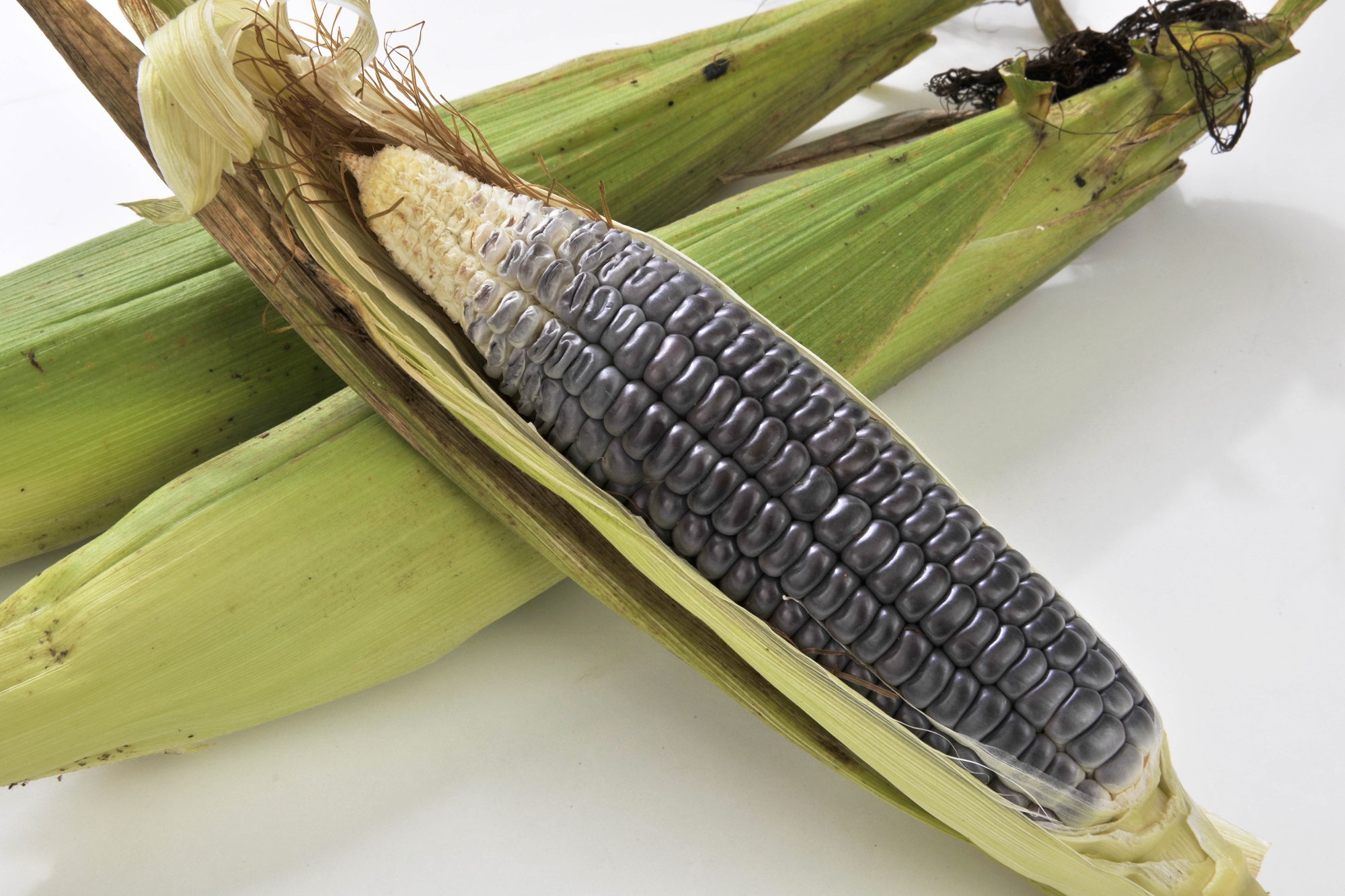 | 絶品！旬の信濃町産のとうもろこし