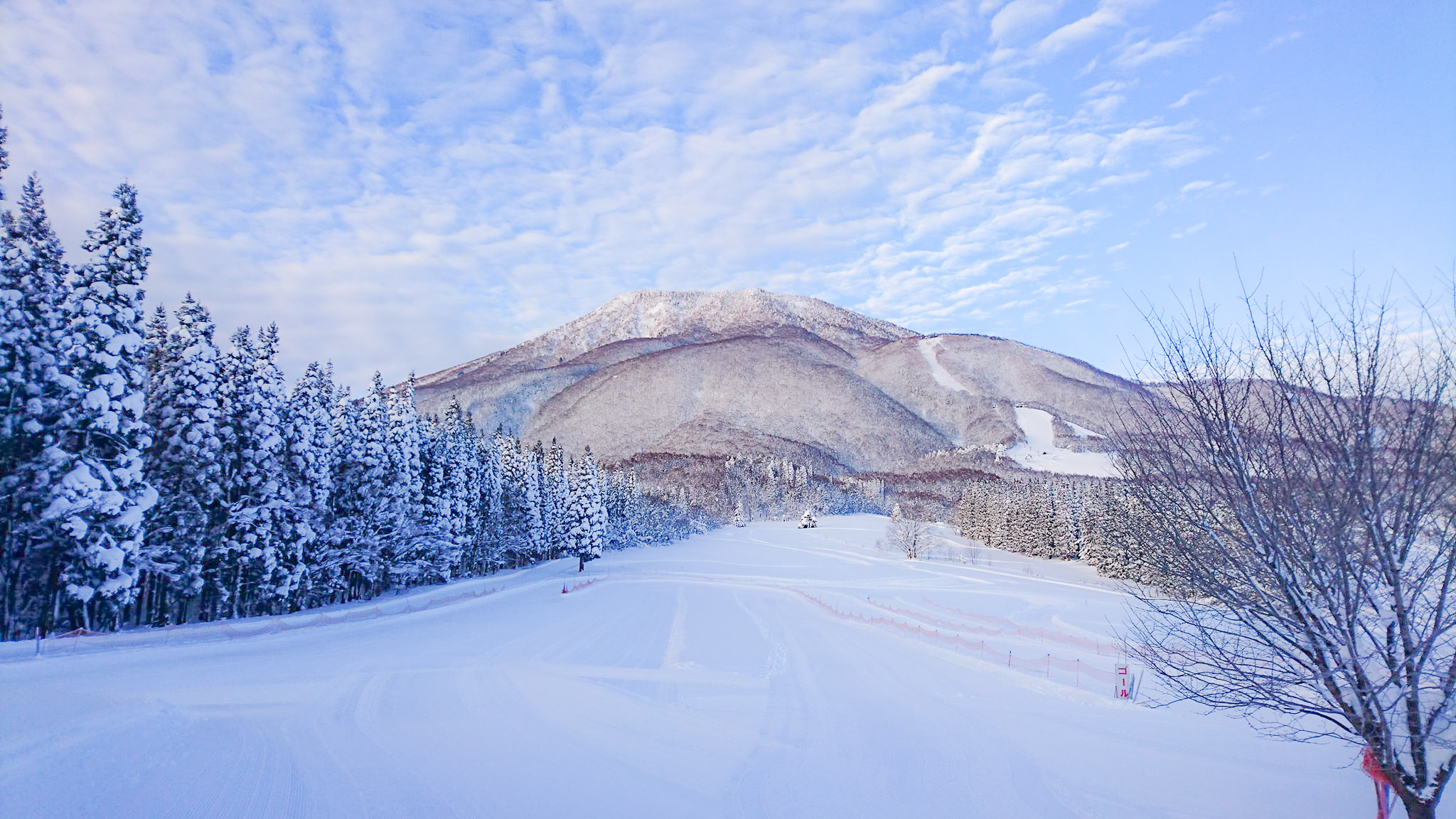 上達への近道 黒姫スキー学校と検定パック 信州しなの町観光協会