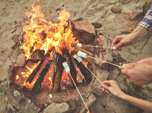 野尻湖定期船会社 信州しなの町観光協会 野尻湖定期船会社 信州しなの町観光協会