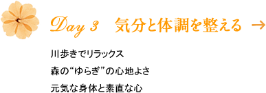 Day 3　気分と体調を整える　川歩きでリラックス森の“ゆらぎ”の心地よさ元気な身体と素直な心