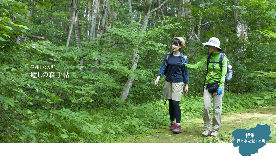 信州しなの町癒しの森手帖